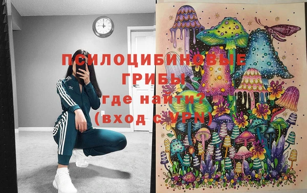 стаф Михайловка