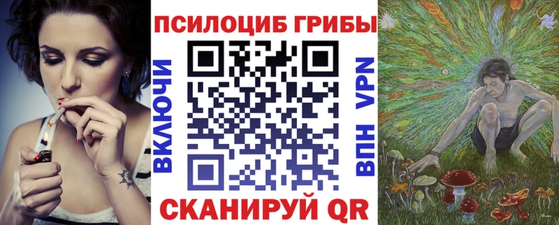 Псилоцибиновые грибы Cubensis  Купить где  Переславль-Залесский 